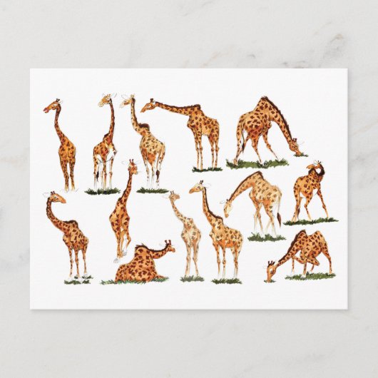 「キリン」ポストカード ポストカード (正面)