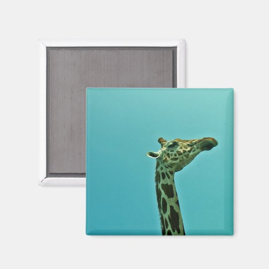 キリン マグネット (正面/裏面)