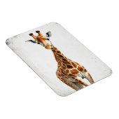 キリン マグネット (右側)