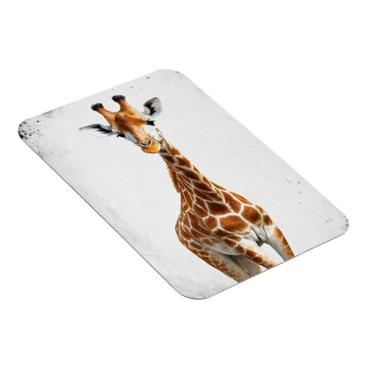 キリン マグネット (右側)