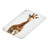 キリン マグネット (左側)