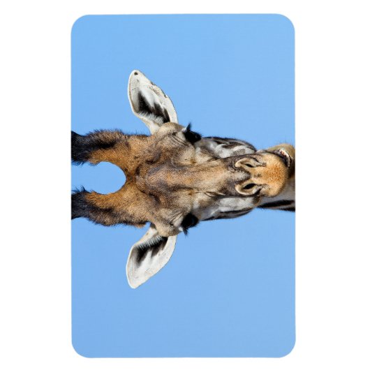 キリン マグネット (縦)