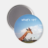 キリン マグネット (正面/裏面)