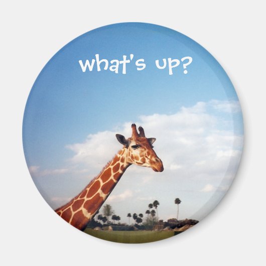 キリン マグネット (正面)