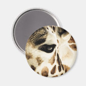 キリン マグネット (正面/裏面)