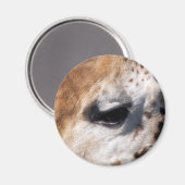 キリン マグネット (正面/裏面)