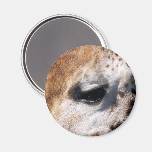 キリン マグネット (正面/裏面)