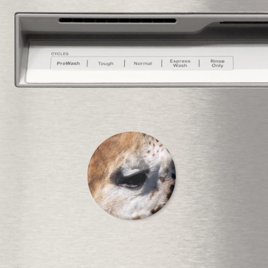 キリン マグネット (インサイチュ (食洗機))