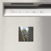 キリン マグネット (インサイチュ (食洗機))