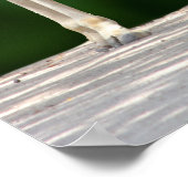 キリン・ママママアンド・ベビー ポスター (角)