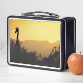 キリン メタルランチボックス (インサイチュ)