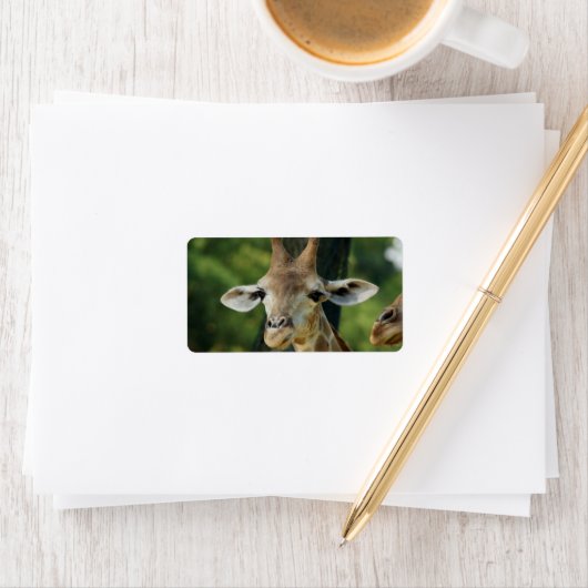 キリン ラベル (インサイチュ)