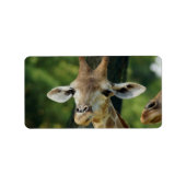 キリン ラベル (正面)