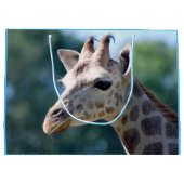 キリン ラージペーパーバッグ (裏面)