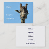 キリン 名刺 (正面/裏面)