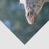 キリン 薄葉紙 (詳細)