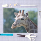 キリン 薄葉紙 (クラフト)