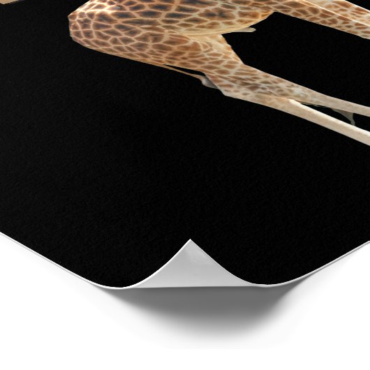 キリン:頭を高く上げろと言われた ポスター (角)