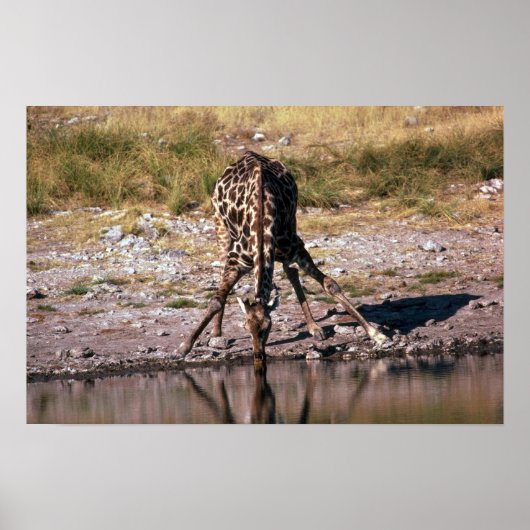 キリン – 飲む ポスター (正面)