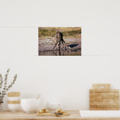 キリン – 飲む ポスター (キッチン)