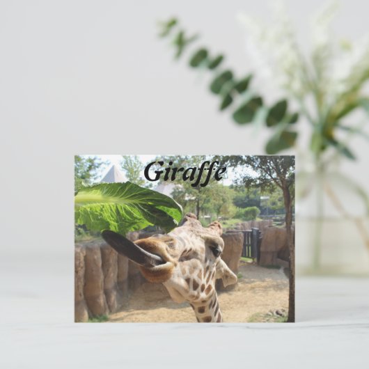 キリン# 14 ポストカード (スタンド正面)