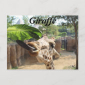 キリン# 14 ポストカード (正面)