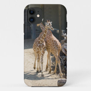 キリン iPhone 11 ケース