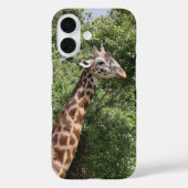 キリン Case-Mate iPhoneケース (裏面)