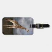 キリン(Giraffaのcamelopardalis) ラゲッジタグ (正面横)