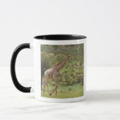 キリン、Giraffaのcamelopardalis、Kgalagadi マグカップ (左)