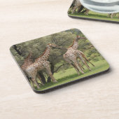 キリン、Giraffaのcamelopardalis、Kgalagadi 2 コースター (左側)