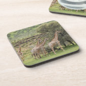キリン、Giraffaのcamelopardalis、Kgalagadi 3 コースター (左側)