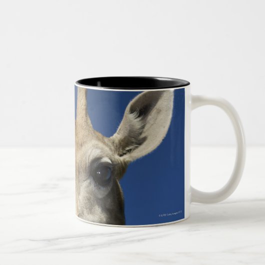 キリン(Giraffa Camelopardalis)のポートレート2 ツートーンマグカップ (右)
