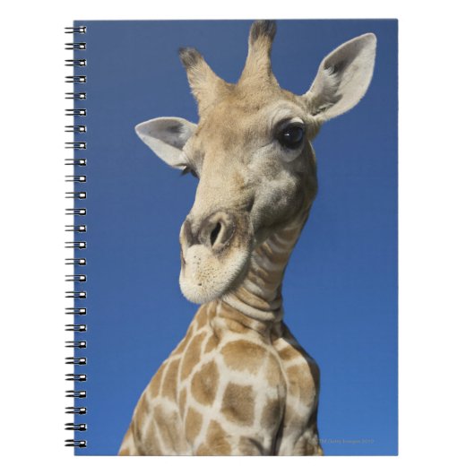 キリン(Giraffa Camelopardalis)のポートレート ノートブック (正面)