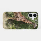 キリン iPhone 16ケース (裏面横)