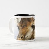 キリン、Krugerの国立公園、南アフリカ共和国 ツートーンマグカップ (正面左)