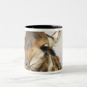 キリン、Krugerの国立公園、南アフリカ共和国 ツートーンマグカップ (中央)