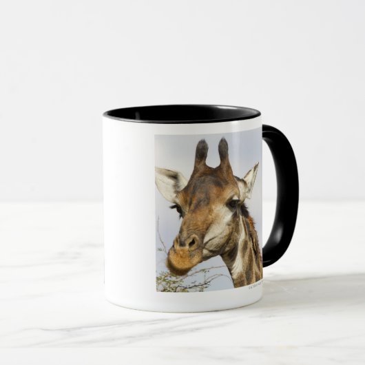 キリン、Krugerの国立公園、南アフリカ共和国 マグカップ (正面右)