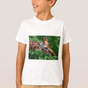 キリン Tシャツ