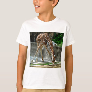 キリン Tシャツ