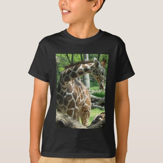 キリン Tシャツ (正面)