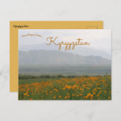 キルギスはがき花 ポストカード (正面/裏面)