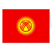 キルギス国旗 (正面横)