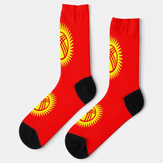 キルギス国旗 ソックス (左)