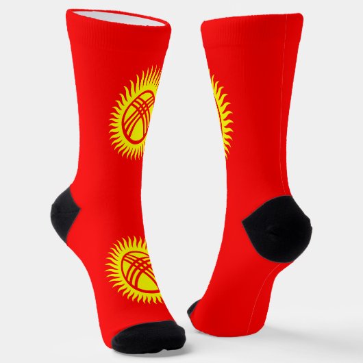 キルギス国旗 ソックス (傾斜あり)