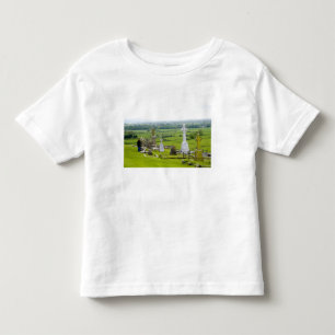 キルケニー、アイルランド。ドラマチックなスペクタクル トドラーTシャツ