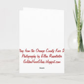 キルターは熱狂する鳥 カード (裏面)