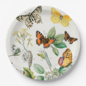 キルビーのウィリアム・フォーセル・キルビーの蝶と毛虫 ペーパープレート (正面)