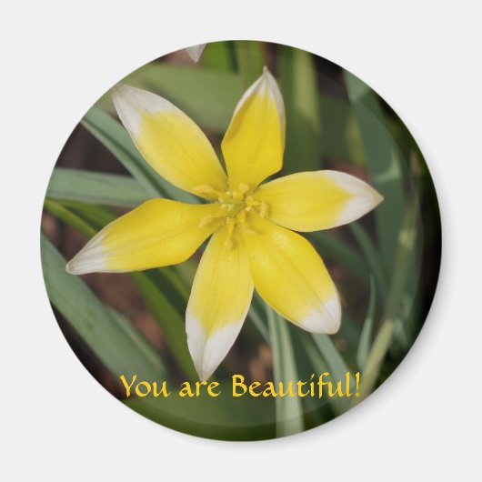 キレイな花の磁石 マグネット (正面)