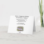 キレモアアビーカード カード (裏面)